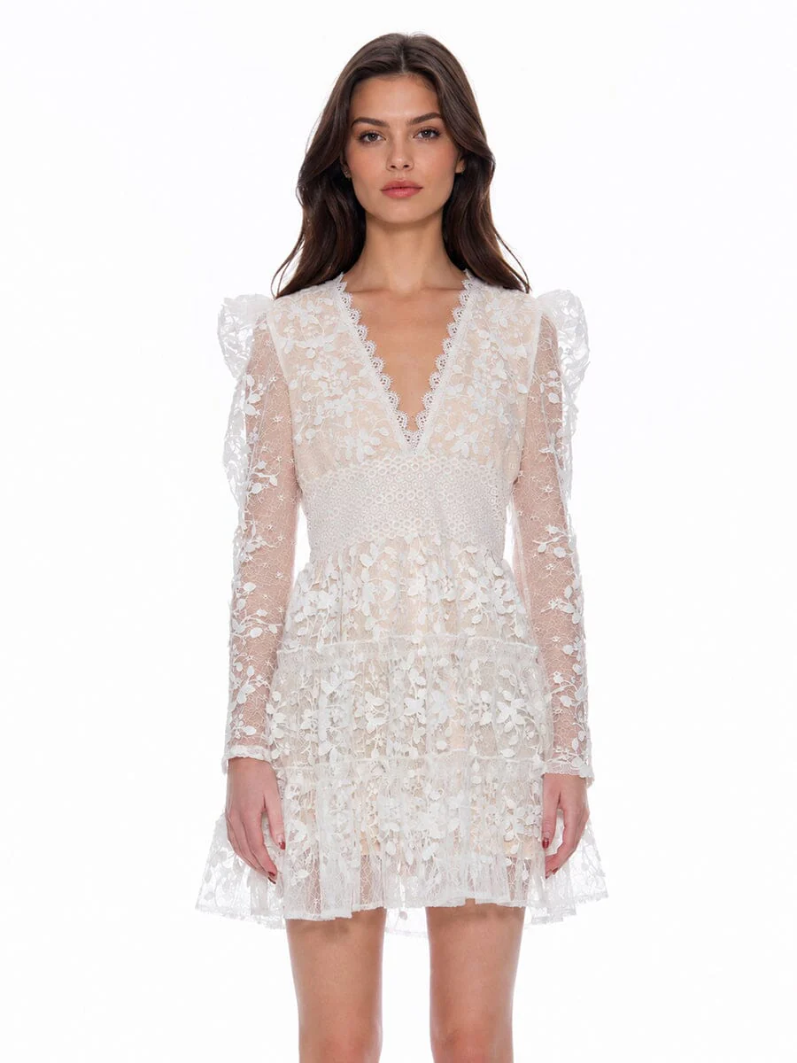 Flowery Embroidered Lace V-Neck Mesh Mini Dress