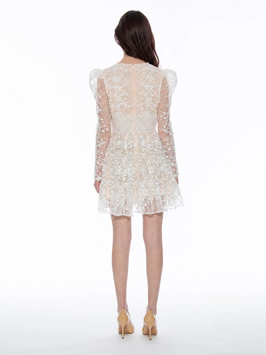 Flowery Embroidered Lace V-Neck Mesh Mini Dress - Image 4