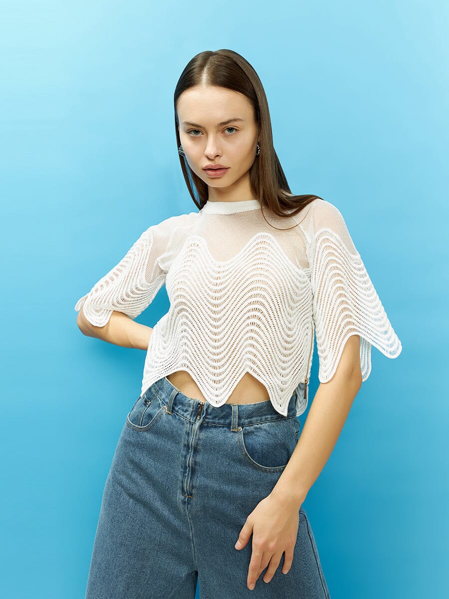 Sheer Crew Neck Mesh Crop Top with Side Zipper - Image 5